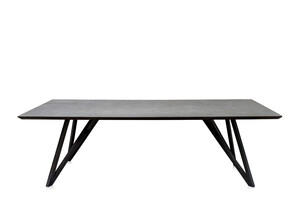 tafel SPIDER 250x100 cm 