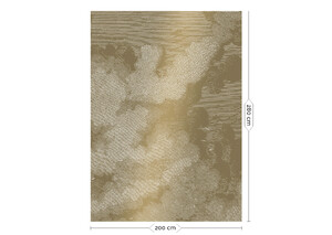 Wandposter Engraved Clouds 200 cm 