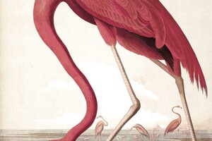 Behangpaneel Flamingo 142.5 x 180 cm