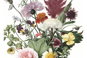 Behangpaneel Wilde Bloemen 142.5 x 180 cm 